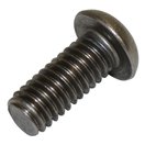 Torx Screw (Stainless)