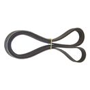 Serpentine Belt