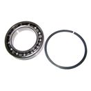 Input Shaft Bearing