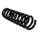 Coil Spring (Rear)