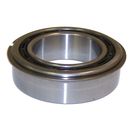 Input Gear Bearing