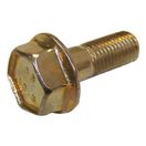 Caliper Bolt (Front)