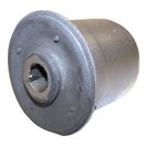 Arm Bushing (Rear Lower)