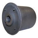 Control Arm Bushing (Rear Lower)