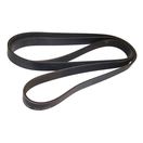 Serpentine Belt