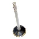 Exhaust Valve