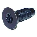 Torx Screw (Windshield Hinge)