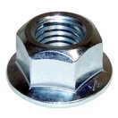 Locking Nut (Flange)