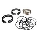 Piston Ring Set (020)