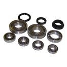 Bearing and Seal Kit (BA10)