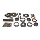 Dana 300 Bearing Kit