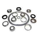 Differential Overhaul Kit