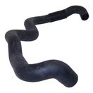 Radiator Hose (Lower-Outlet)