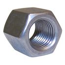 U-Bolt Nut