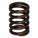 Valve Spring