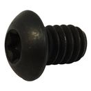 Torx Head Screw (Black)