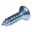 Side Mirror Mounting Screw